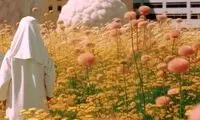 10 تصویر شگفت‌ انگیز که شاید در آینده ببینیم