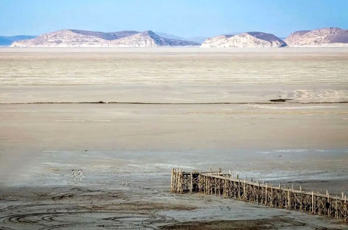 اظهارات جنجالی یک فعال محیط‌زیست که خبرساز شد