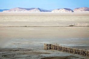 حرف‌های این فعال محیط‌زیست جنجال به پا کرد