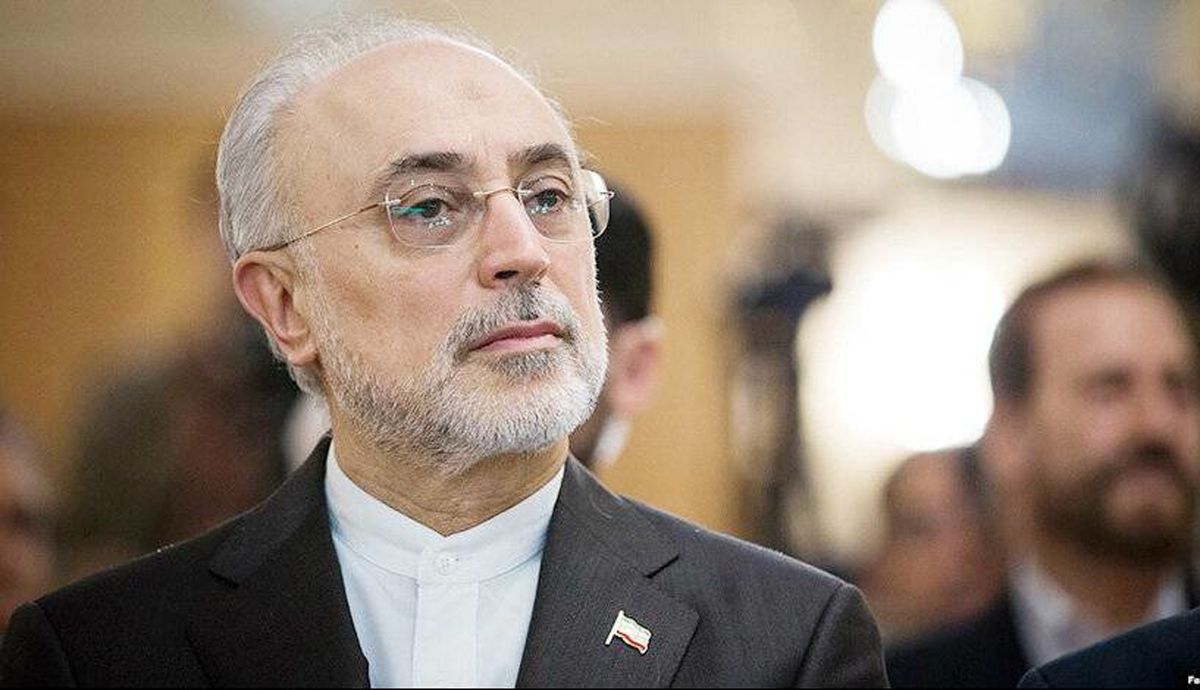   ابراز امیدواری صالحی به نتیجه مذاکرات مسقط 