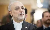 ابراز امیدواری صالحی به نتیجه مذاکرات مسقط