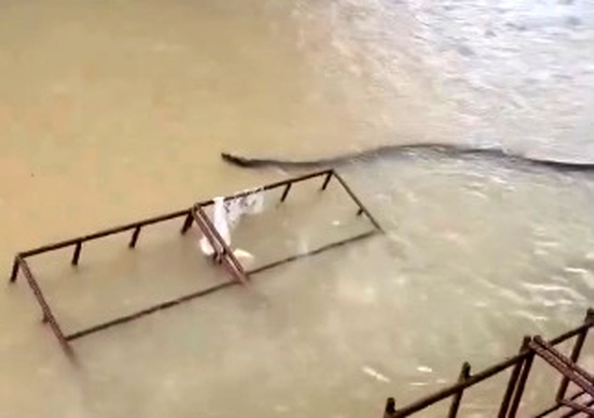 مهمان غول‌پیکری که سیل برای مردم این منطقه آورد!