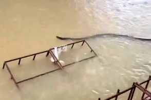 مهمان غول‌پیکری که سیل برای مردم این منطقه آورد!