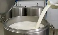 قیمت شیر گران شد