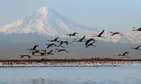 پروژه پتروشیمی میانکاله شروع شد
