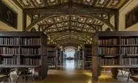 شلیک مرگبار بر پیکر کتابخانه‌ای از جنس دانش