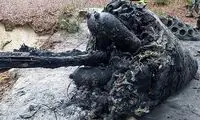 کشف بقایای اولین موشک بالستیک جهان بعد از ۸۰ سال