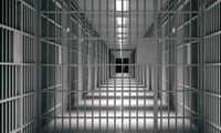پیش‌بینی آزادی زندانیان با استفاده از هوش مصنوعی