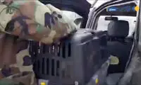 ویدئویی جدید از آذر و توران در زادگاهشان