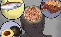 تاثیر شگفت‌انگیز این خوراکی‌ها در بهبود حافظه
