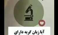 ویدئویی از آب دهان گربه زیر میکروسکوپ