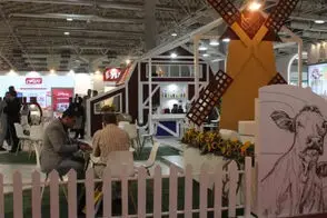 جوجه یک‌روزه، اشانتیون نمایشگاه دام و طیور شد!