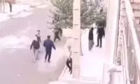 ویدئویی واضح از ماجرای کشته‌شدن برهان کرمی
