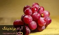  روش های موثر برای ثروتمند شدن فوری