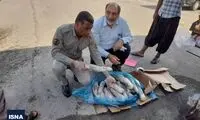 ماجرای محموله 5 تنی زبان حیوانات فاش شد!