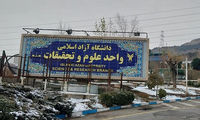 وطن امروز: آهو دریایی دیوانه هم نباشد، دیوانگی کرده