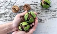 روش پوست کندن گردو بدون سیاه شدن دست