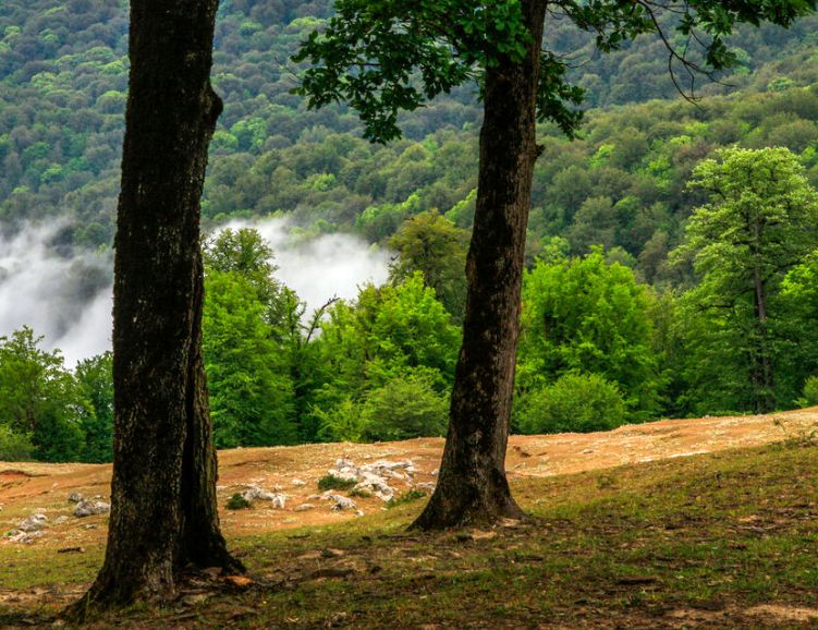 عکس‌های چشم نواز از بهشت نگارستان ایران