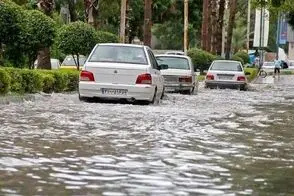 بارش شدید باران در ساری، خودروها را غرق کرد!