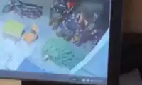 ویدئوی همشهری از حضور 5 زن برهنه در اعتراضات