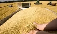 روش جدید برای تامین ویتامین D