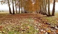تصورات انتخاباتی در یک کشور فرضی، مثلا چنارستان!