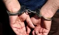 جزئیات کشف عملیات تروریستی در تهران 