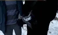 نجات یک طوطی بعد از ۵۰ ساعت از زیر آوار زلزله