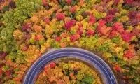 نمایی تماشایی از جاده پاییزی اسالم به خلخال