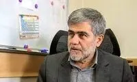 تعبیر عجیب یک نماینده برای مشارکت در انتخابات