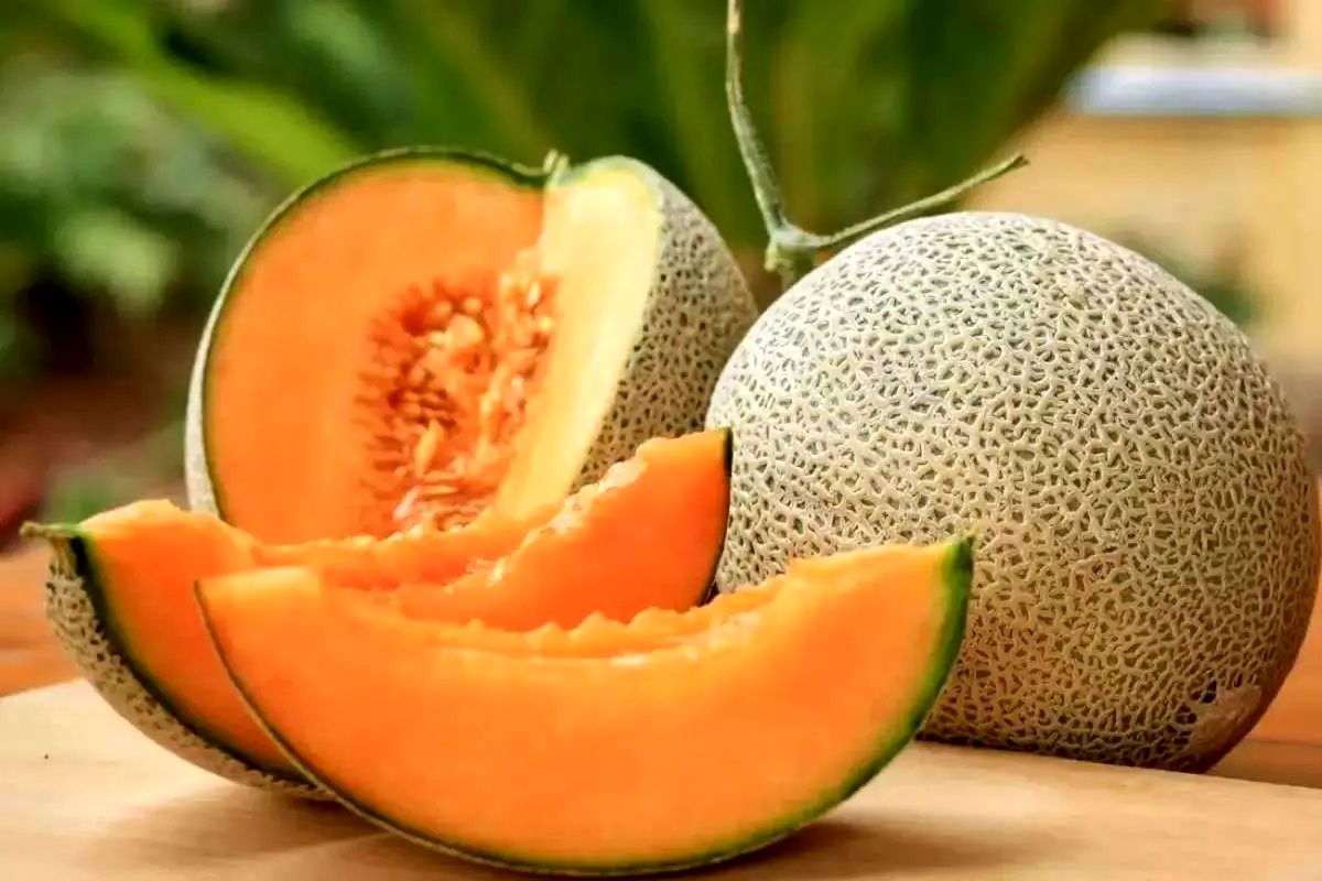   آیا «مِلون» تراریخته و مضر برای سلامتی است؟ 