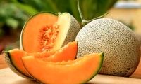آیا «مِلون» تراریخته و مضر برای سلامتی است؟