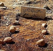 واکنش مقام دولتی به خبر تخریب مزار نیکا شاکرمی