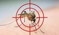 در صورت کشتن تمام پشه‌های کره زمین چه اتفاقی رخ می‌دهد؟