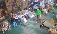 حمایت جانانه یک گربه از دوستش مقابل سگ وحشی