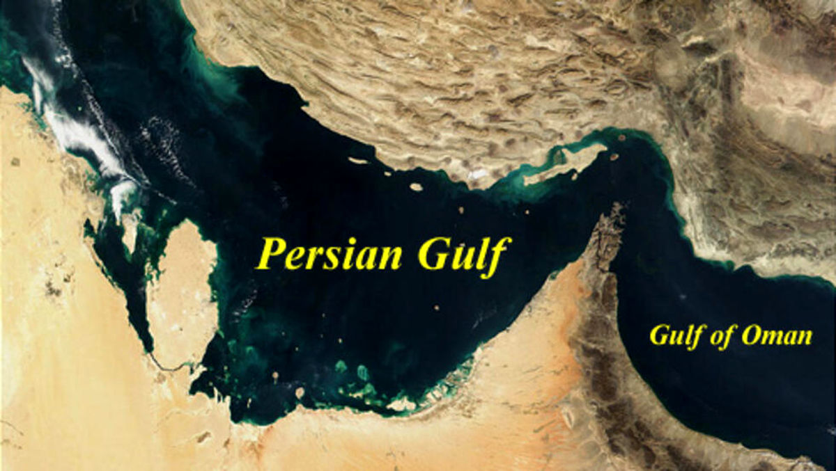 ویتکاف، خبر جنجالی ساعات اخیر را تکذیب کرد