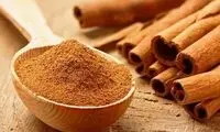 با چرک خشک‌کن‌های طبیعی بیشتر آشنا شوید 
