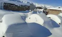 خودروها زیر برف در این منطقه مدفون شدند