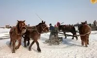 تکنیک هزارساله ماهیگیری در آب یخ‌زده 