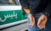 نقشه زوج سرایدار برای سرقت از خانم مهندس