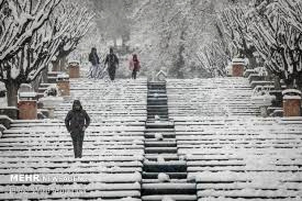 این منطقه از تهران دیشب کاملا یخ زد!