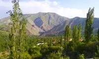 تصویر دختری که دل ناصرالدین شاه را برد