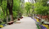 انتقاد تند یک امام جمعه از زاکانی بعد از ماجرای پارک قیطریه