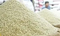 خشکسالی نیمی از برنج امسال را وارداتی کرد