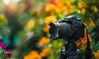 تصویری از اولین پرتره زن در تاریخِ عکاسی