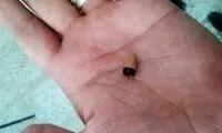 تجهیزات کشف شده تقلب در کنکور 