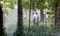 خبر خوش برای این گروه از بازنشستگان تهرانی