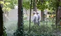 خبر خوش برای این گروه از بازنشستگان تهرانی