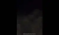  لحظه حمله خرس قهوه‌ای در شب به مردم در اردبیل