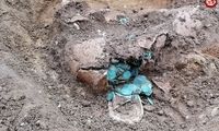 کوزه‌ای با 7 هزار سکه باستانی از دل یک زمین کشاورزی بیرون آمد